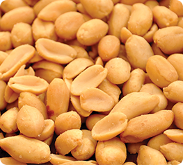 Salty Peanuts | Diamond Snacks